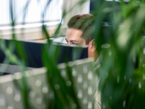 Netpower IT software development